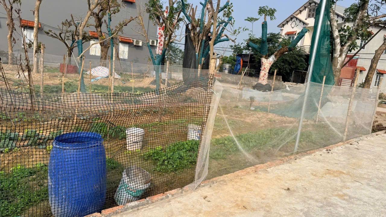 Lô đất nằm trong khu dân cư hiện hữu, phía sau là nhà dân