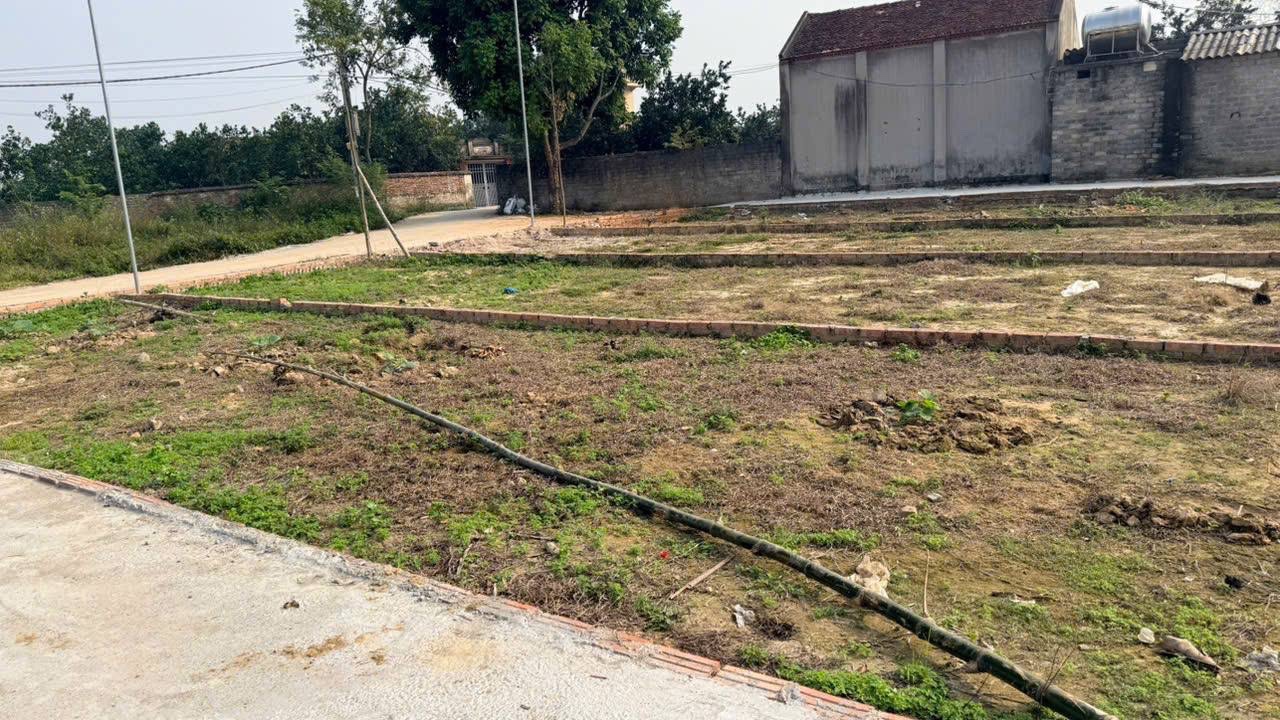Các lô đất đã phân, cọc mốc rõ ràng tại Mã Quần – Bắc Lý